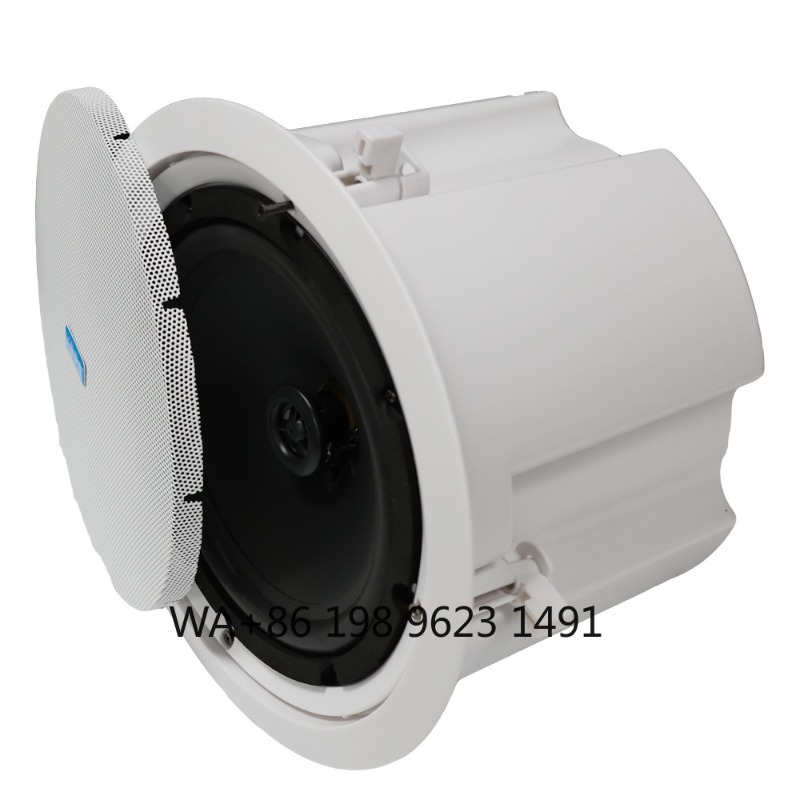 Sistema Audio Surround Domesti - Home Theater Speaker recensione e prezzo